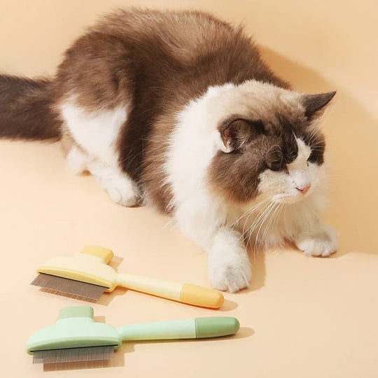 Pet Cat Comb Cat and Dog Hair Removal Brush Cleaning Hair