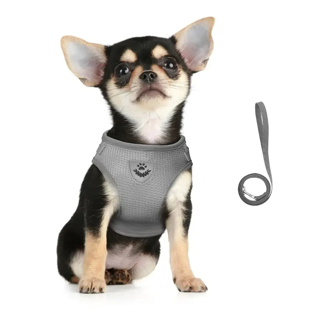 Cat Harness Lead Leash Set Adjustable Reflective Escape Proof Pet