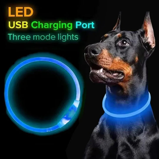 B Pet Dog LED Collar - Dog Loss Prevention Collar