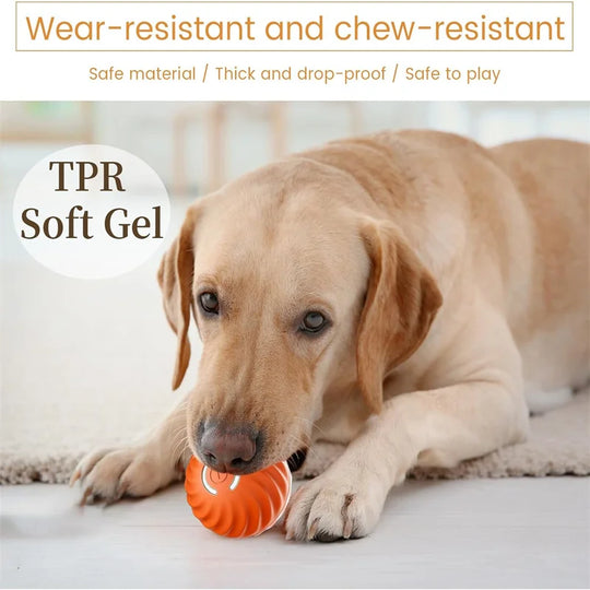 Electronic Interactive Pet Toy Moving Ball USB Automatic Moving Bouncing for Puppy