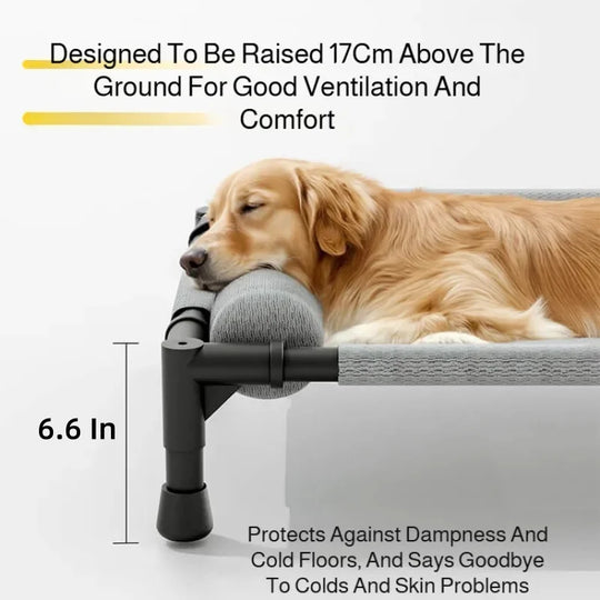 Elevated Pet Bed for Dogs & Cats Durable Breathable