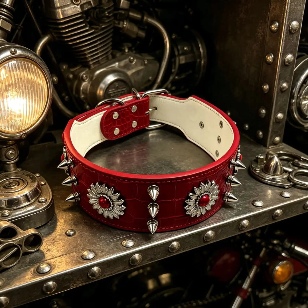 Dog collar with rivets, red, fashionable, cool, street punk style