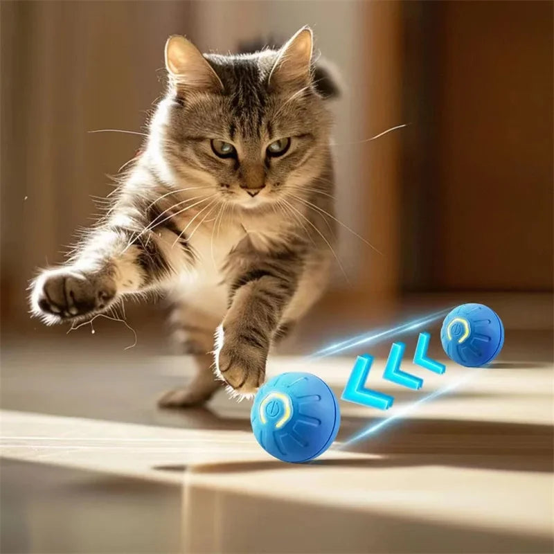Electronic Interactive Pet Toy Moving Ball USB Automatic Moving Bouncing for Puppy