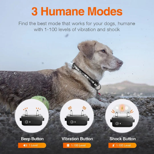 Dog Training Collar, Universal Dog Bark Collar, Waterproof Rechargeable