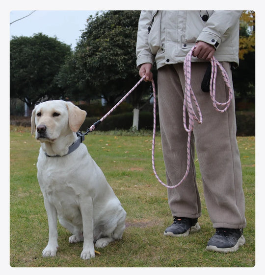 Long Dogs Training Leash for Walking Heavy Duty Nylon Leash for Agility Training
