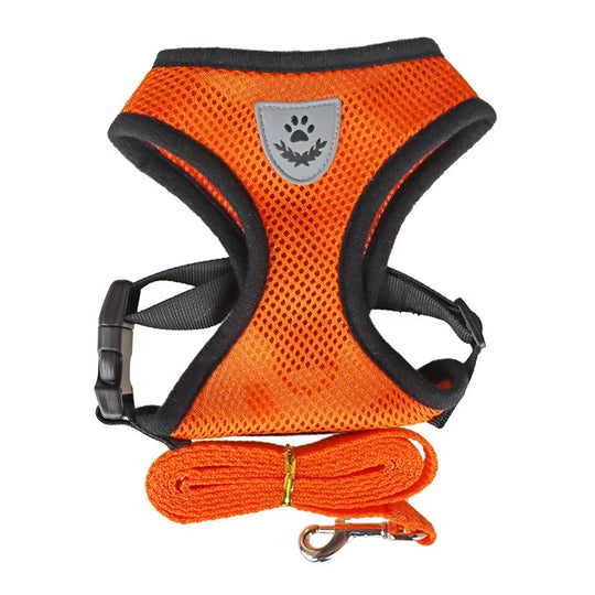 Cat Leash and Harness Cat Tent Kitten Harness Strap for Cats