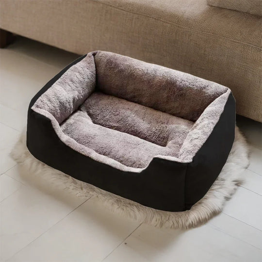 Bed for Cats Pet Products Cushions Kitten Goods Accessories D