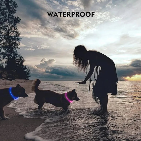 B Pet Dog LED Collar - Dog Loss Prevention Collar