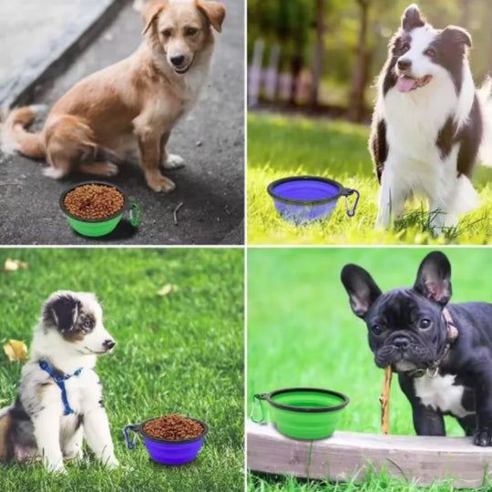 Durable TPR Portable Pet Food Bowl for Cats And Dogs Silicone