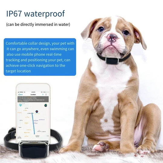 GPS Pet Tracker IP67 Waterproof Pet Locator for Dog Cat Pet