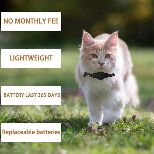 Pet Tracking GPS  Night Reflective Adjustable Collar Phone APP Lightweight Cat Tracker