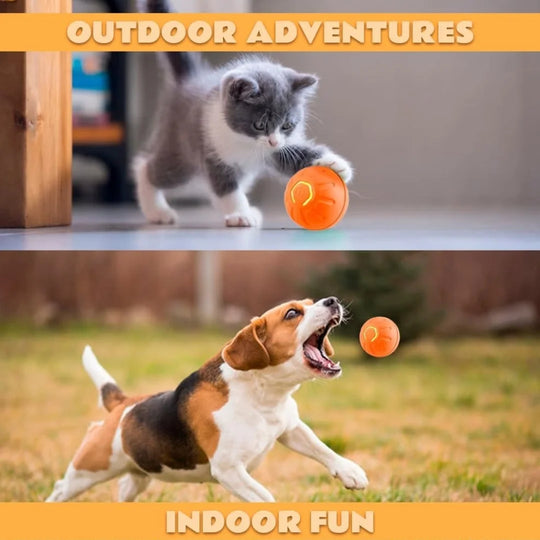 Pet toys Gravity Electric Amusement Pet Ball
