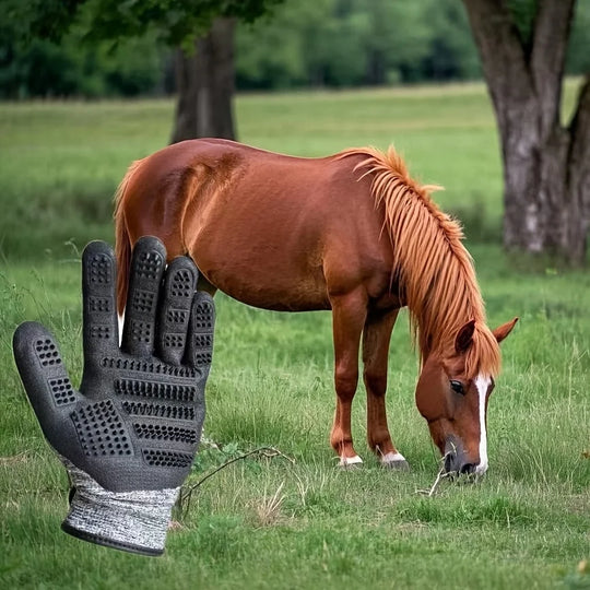 Horse Grooming Gloves Shedding Brush Pet Hair Remover