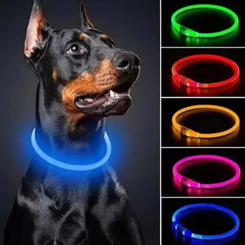 B Pet Dog LED Collar - Dog Loss Prevention Collar