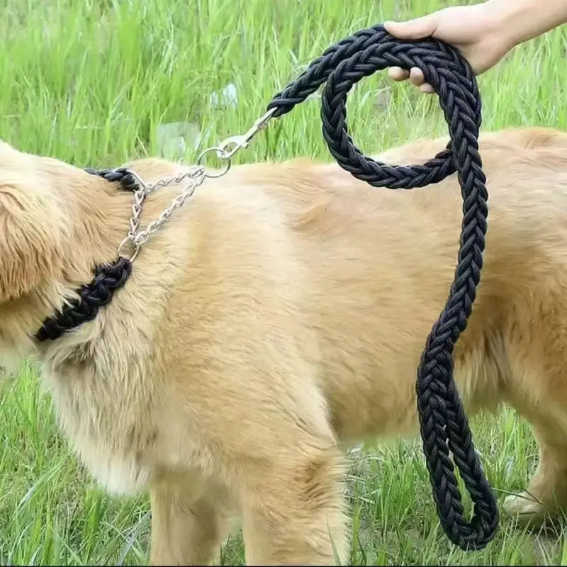 Dog Leash for Efective Training and Comfortable Walking Strong and Durable Braid Suitable for Large Dogs Dog Training Leash