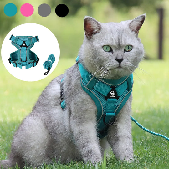 Breathable Cat Harness Leash for Small Medium Dogs Cats