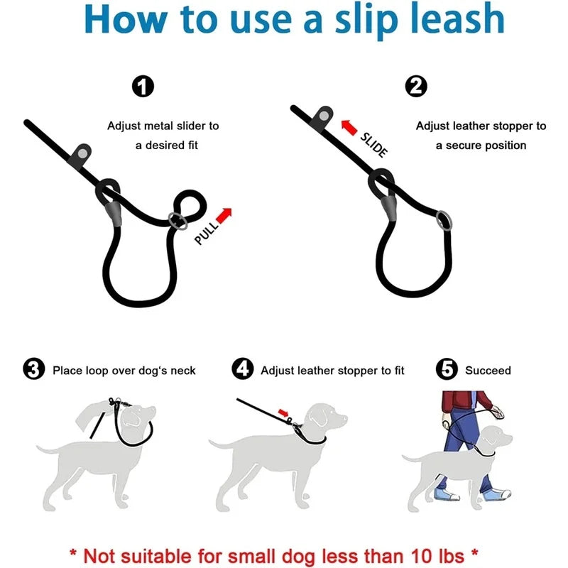 Dog Training Leash P Leash, Durable Nylon Material Heavy Duty