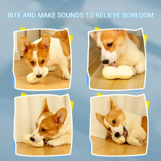 Pet Toys TPR Simulation Peanut Sound Toy