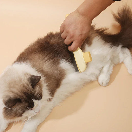 Pet Cat Comb Cat and Dog Hair Removal Brush Cleaning Hair