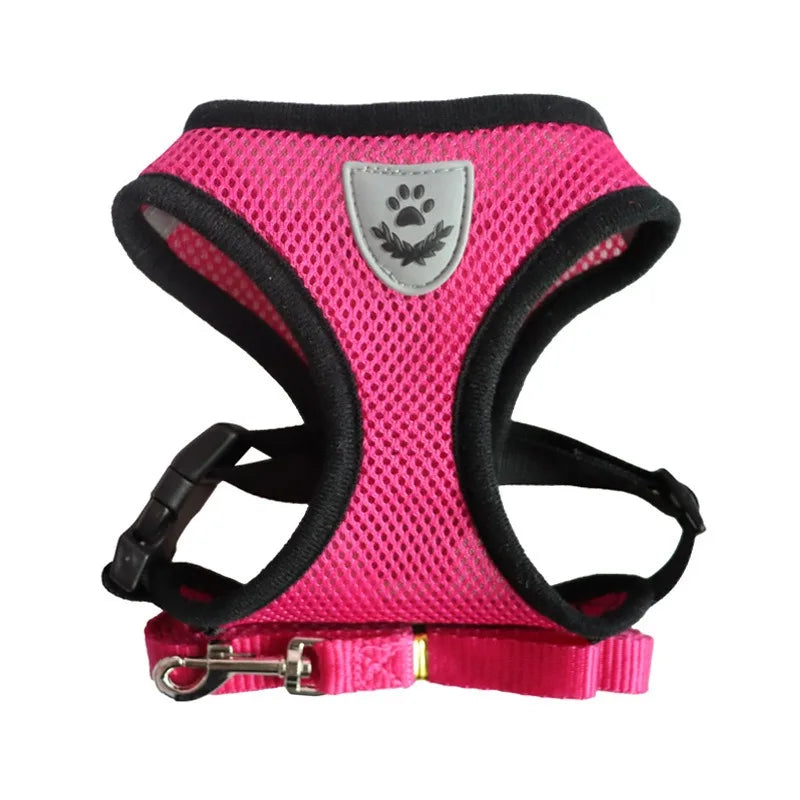 Cat Leash and Harness Cat Tent Kitten Harness Strap for Cats