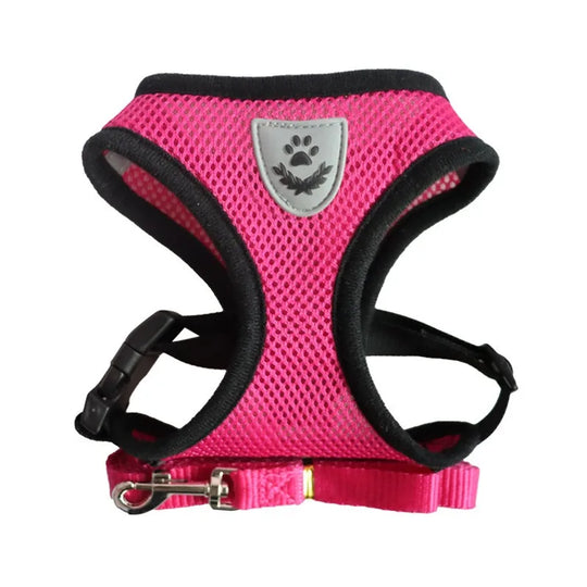 Cat Leash and Harness Cat Tent Kitten Harness Strap for Cats