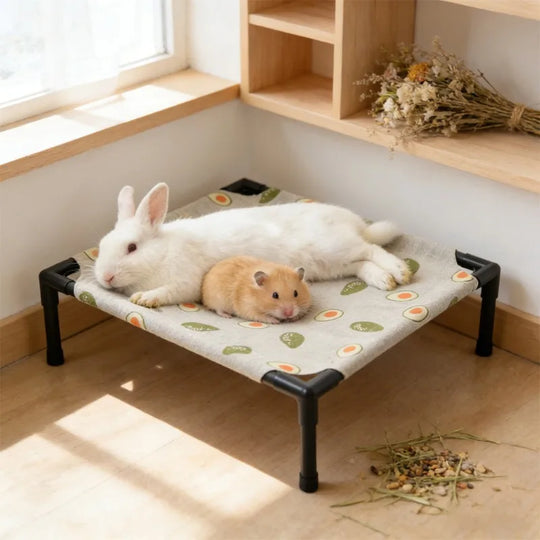 1PC Elevated Pet Bed Raised Small Animal Bed Breathable Washable