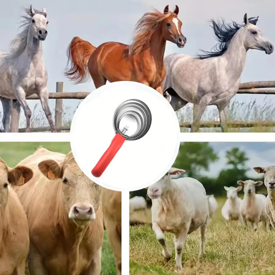 Ring-shaped Curved Tooth Comb Horse Grooming Brush