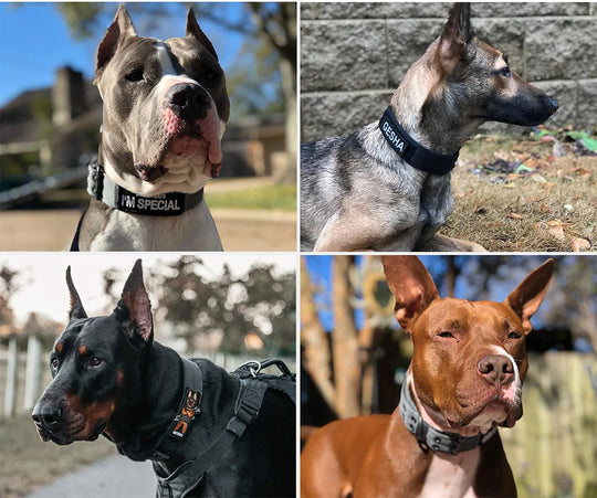 1pc Durable Nylon Military Collars Outdoor For Medium Large Dog