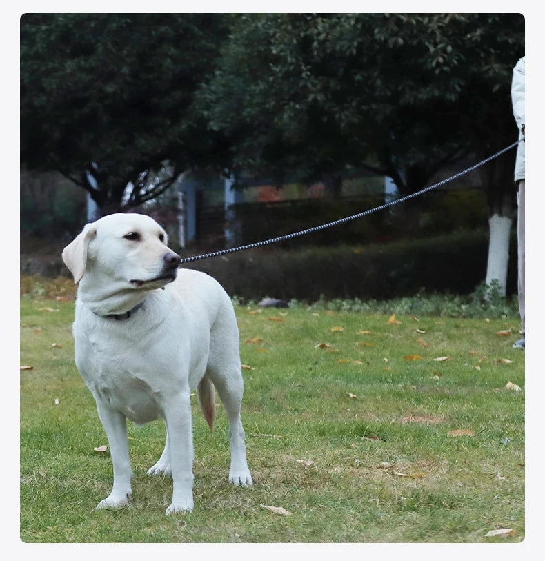 Long Dogs Training Leash for Walking Heavy Duty Nylon Leash for Agility Training