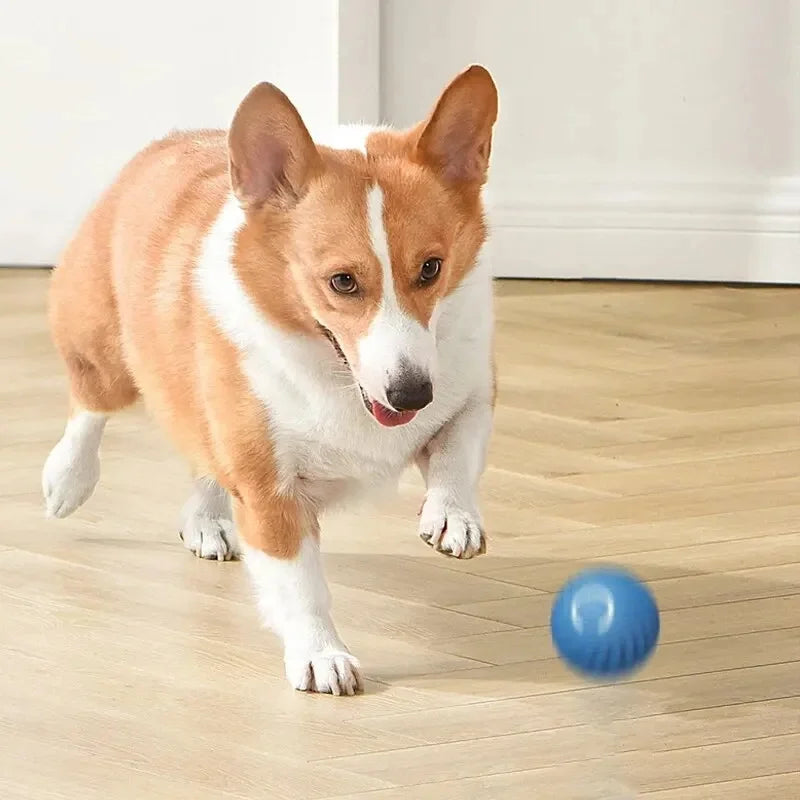 Electronic Interactive Pet Toy Moving Ball USB Automatic Moving Bouncing for Puppy