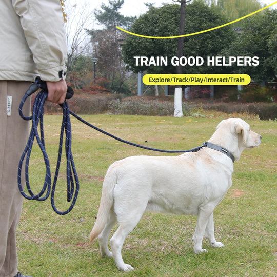 Long Dogs Training Leash for Walking Heavy Duty Nylon Leash for Agility Training