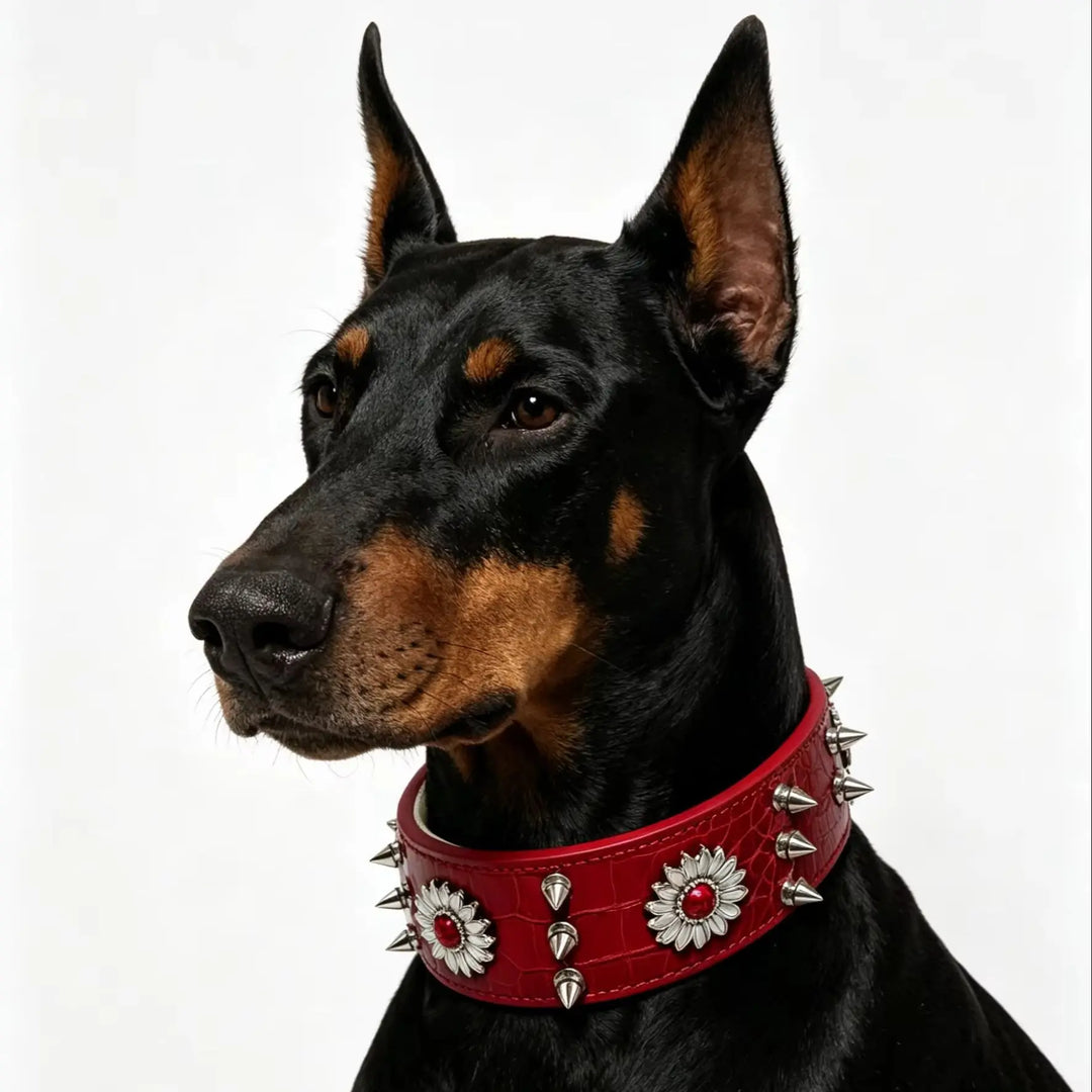 Dog collar with rivets, red, fashionable, cool, street punk style