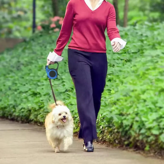 Automatic Retractable Dog Leash for Small Dogs And Cats