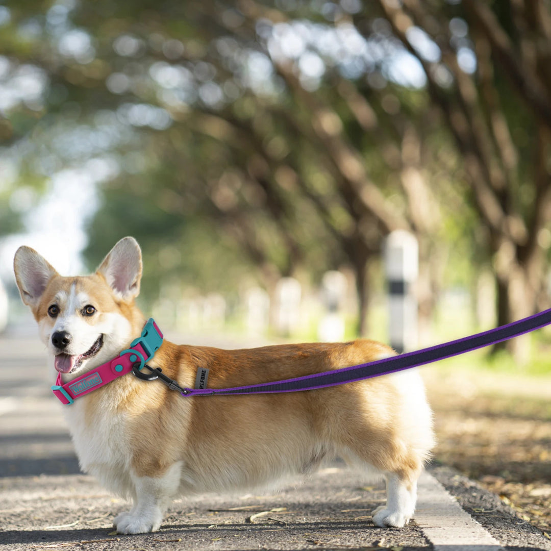 Medium Small Long Dog Leash Latex Silk Easy and Convenient Training