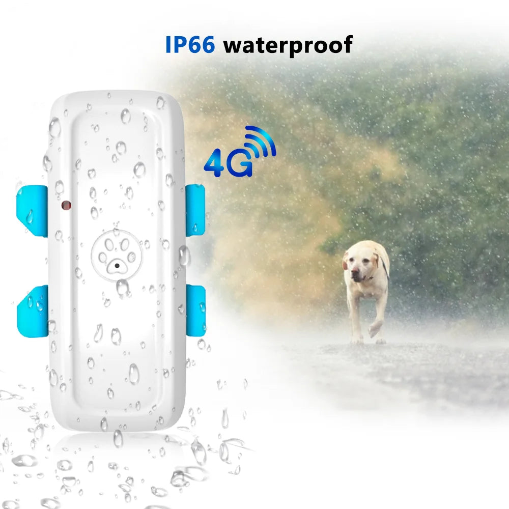 4G Pet GPS Tracker Realtime Tracking Dog Cat Animal Finder