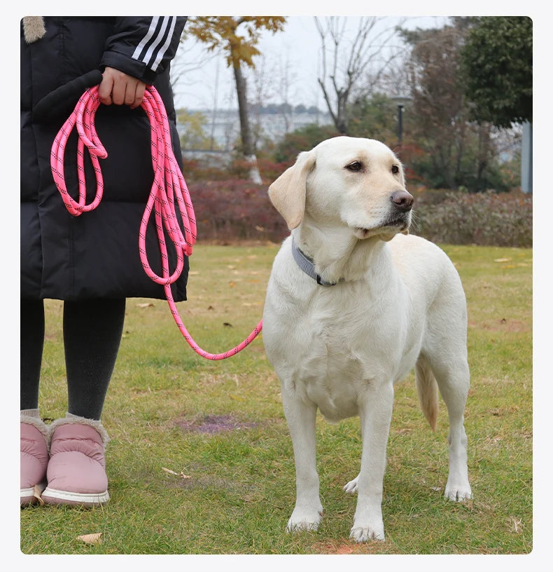 Long Dogs Training Leash for Walking Heavy Duty Nylon Leash for Agility Training