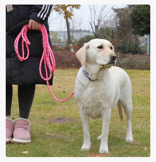 Long Dogs Training Leash for Walking Heavy Duty Nylon Leash for Agility Training