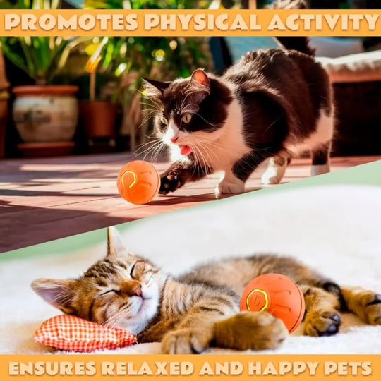Pet toys Gravity Electric Amusement Pet Ball