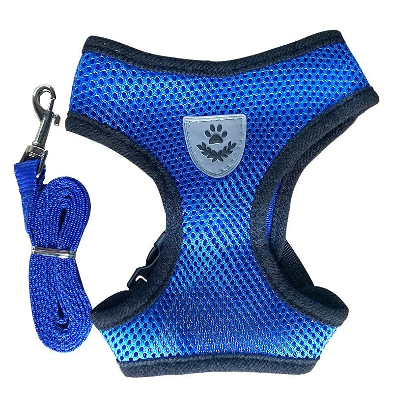 Cat Leash and Harness Cat Tent Kitten Harness Strap for Cats