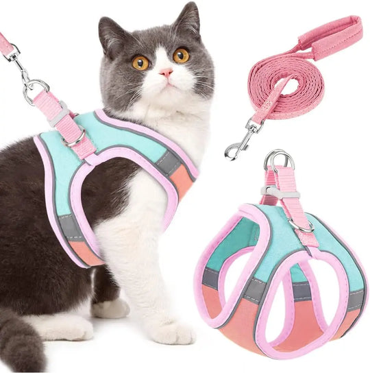 Cute Cat Harness with Leash,  Reflective at Night, Pet Walking Leash