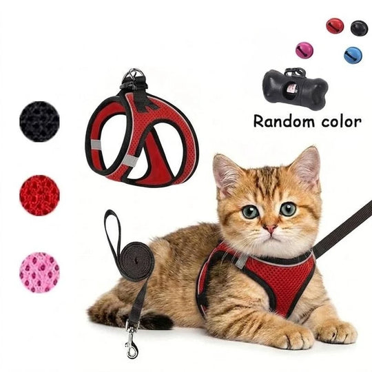 2pcs Universal harness and leash set for cats and dogs. Harness. Leash. Cat and dog puppy collars. Chest harness.