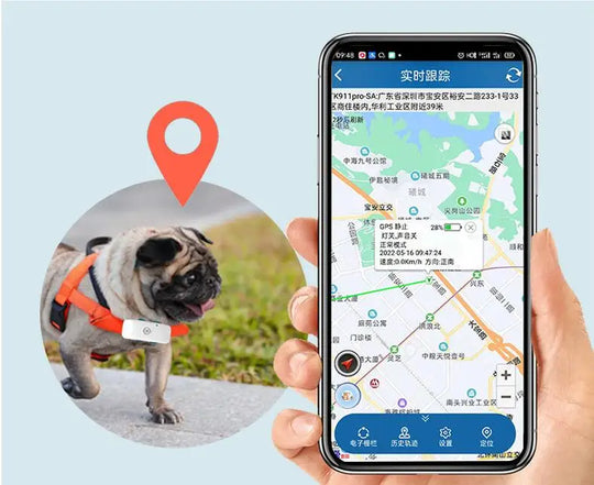 4G Pet GPS Tracker Realtime Tracking Dog Cat Animal Finder
