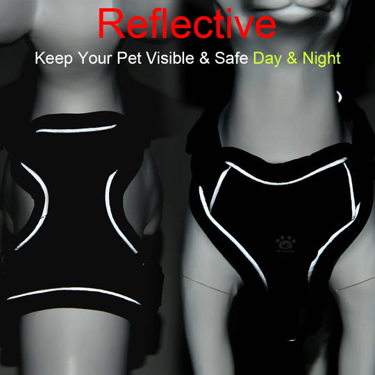 Breathable Cat Harness Leash for Small Medium Dogs Cats