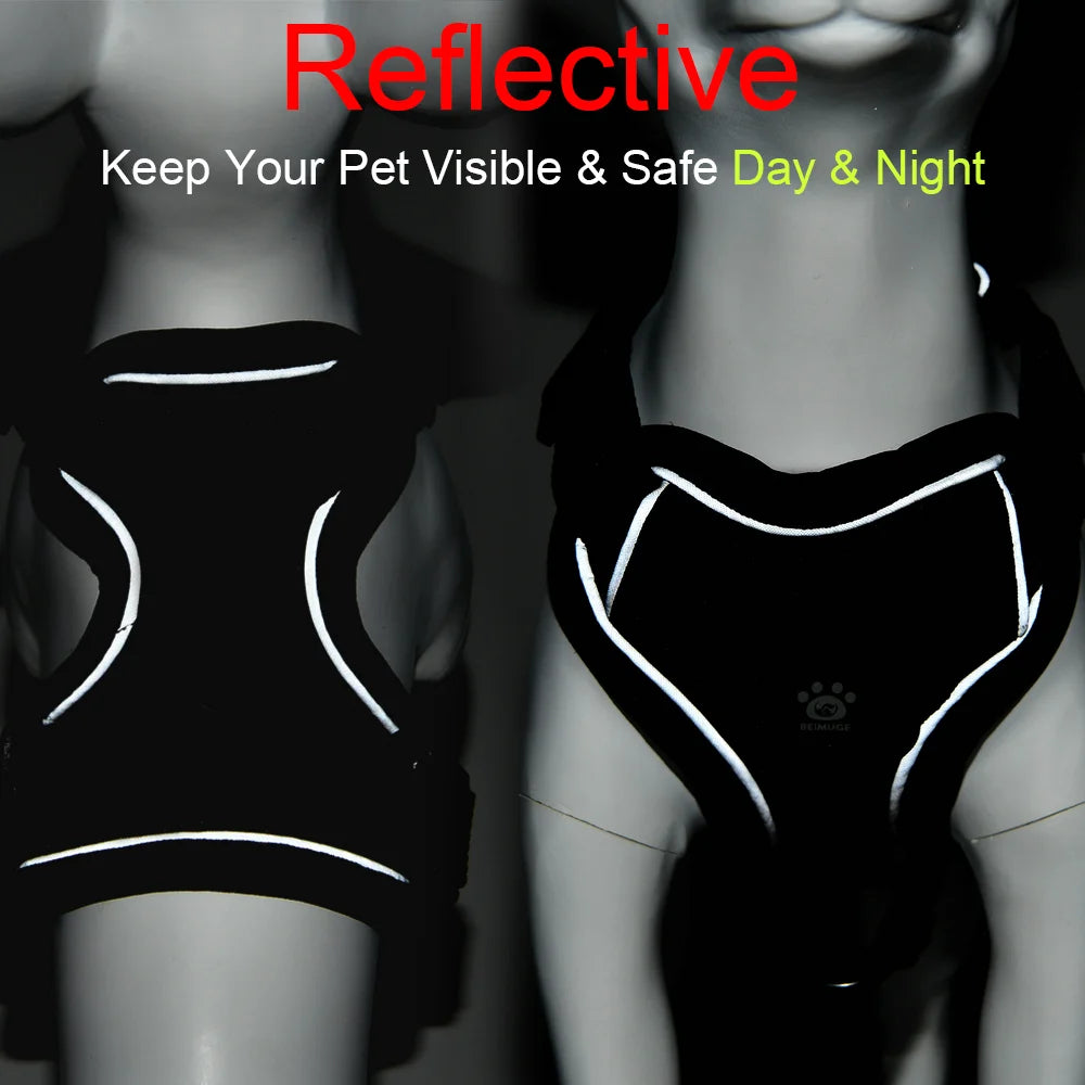 Breathable Cat Harness Leash for Small Medium Dogs Cats