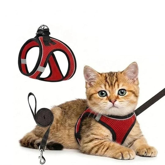 2pcs Universal harness and leash set for cats and dogs. Harness. Leash. Cat and dog puppy collars. Chest harness.