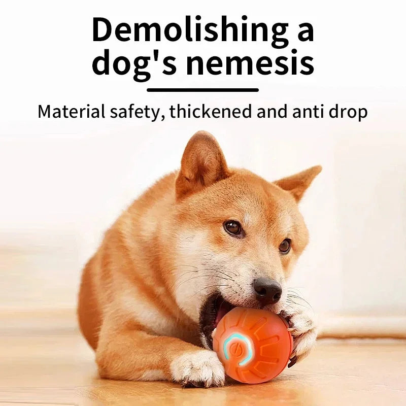 Electronic Interactive Pet Toy Moving Ball USB Automatic Moving Bouncing for Puppy