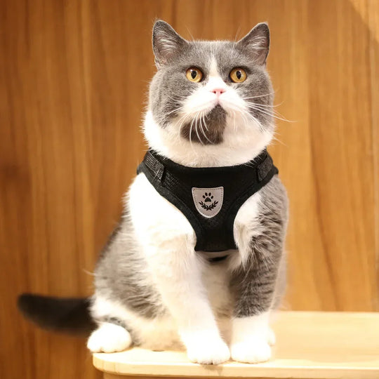 Cat Harness Lead Leash Set Adjustable Reflective Escape Proof Pet