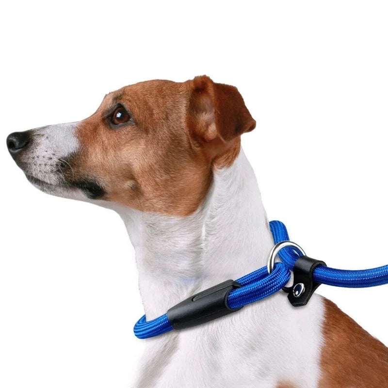 Dog Training Leash P Leash, Durable Nylon Material Heavy Duty