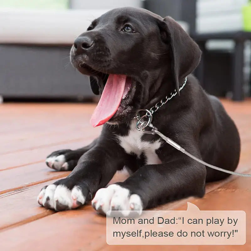 Double-headed Dog Tie Out Cable Leash ,raction rope with metal buckle steel wire