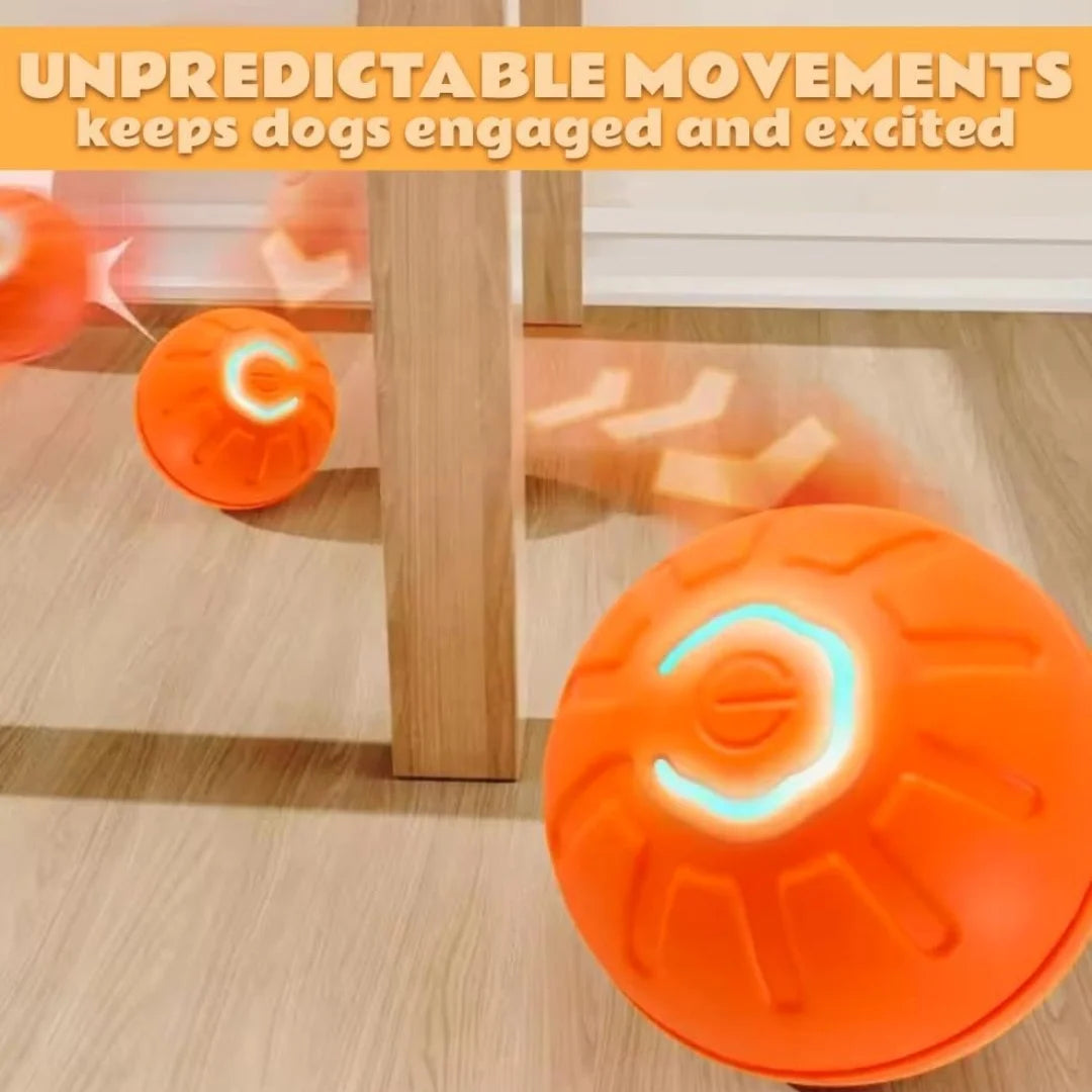 Pet toys Gravity Electric Amusement Pet Ball